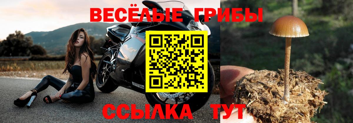 Урус-Мартан  Псилоцибиновые грибы GOLDEN TEACHER  Вход с VPN 