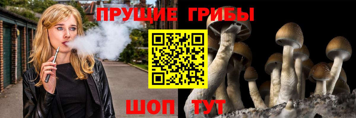 Галлюциногенные грибы ЛСД Урус-Мартан